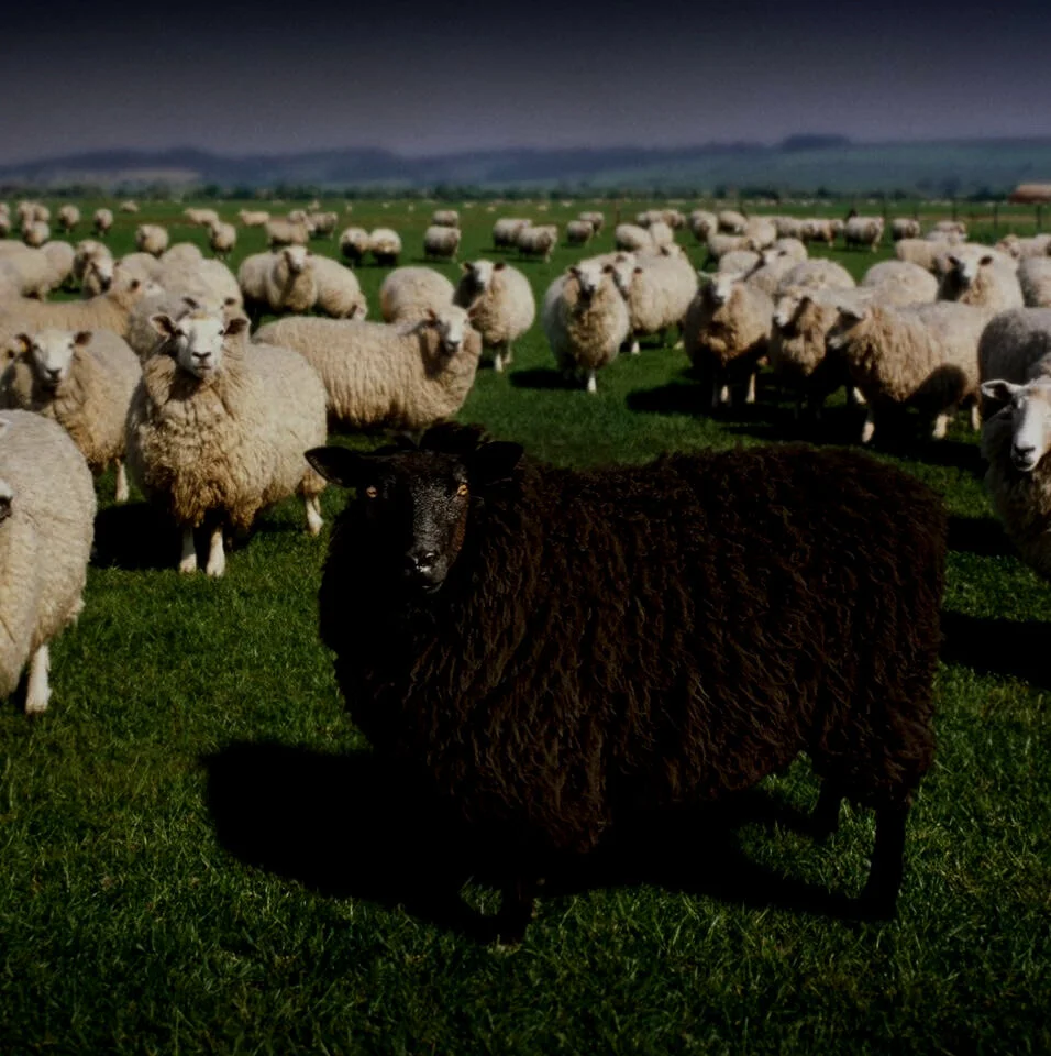 About — Black Sheep Church